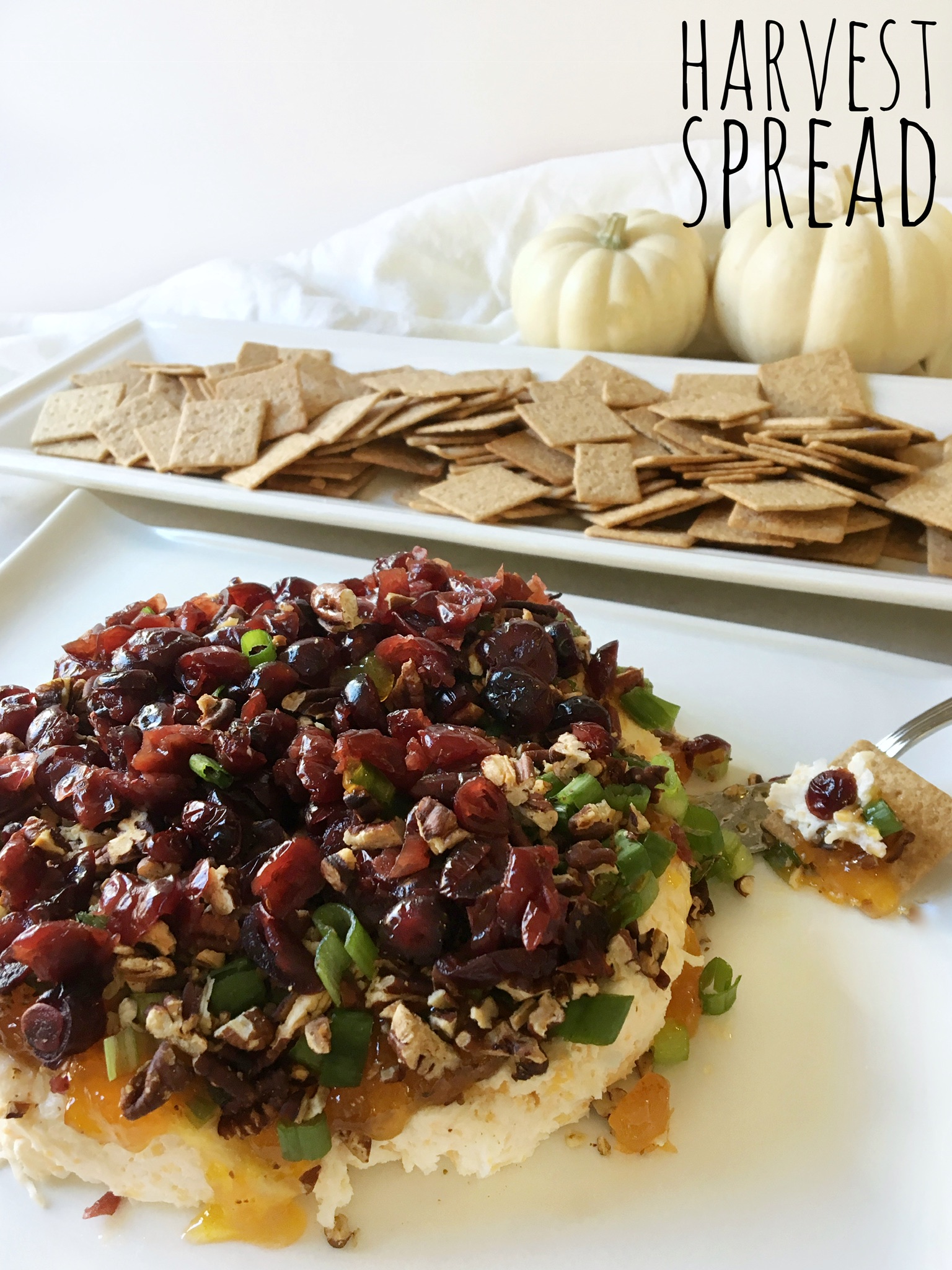 A harvest blend of cheeses, nuts and cranberries to serve with crackers