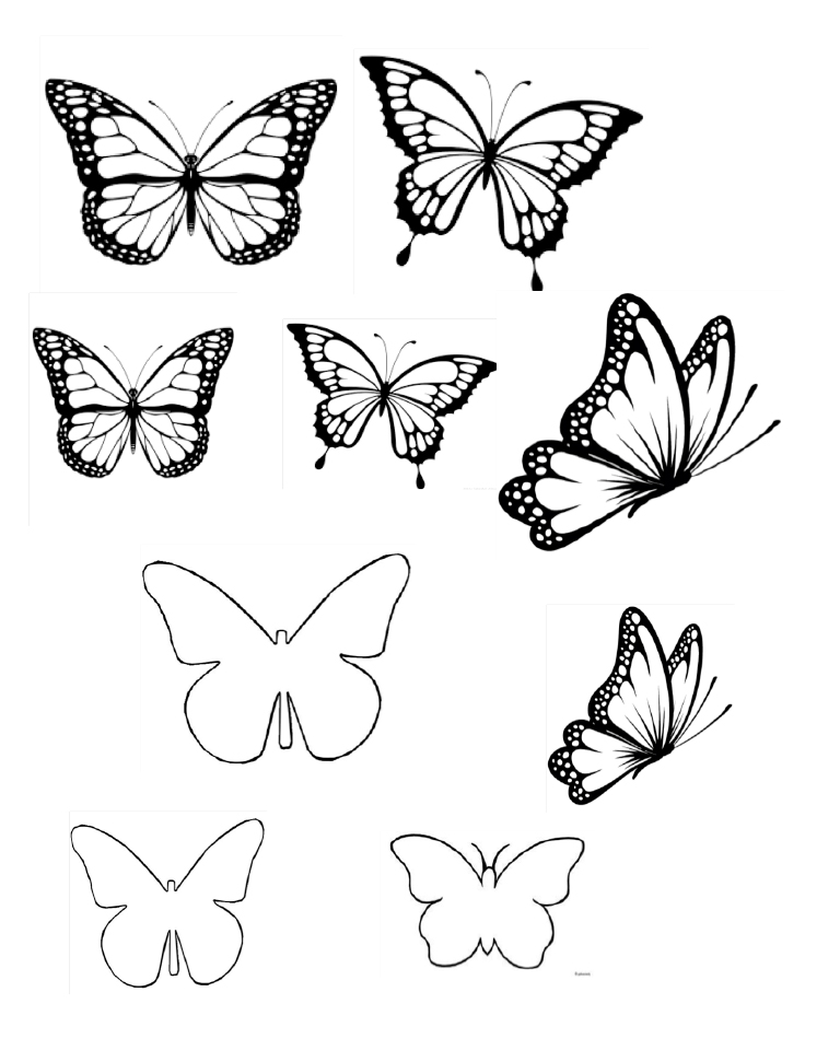 printable butterfly template for piping white chocolate butterflies