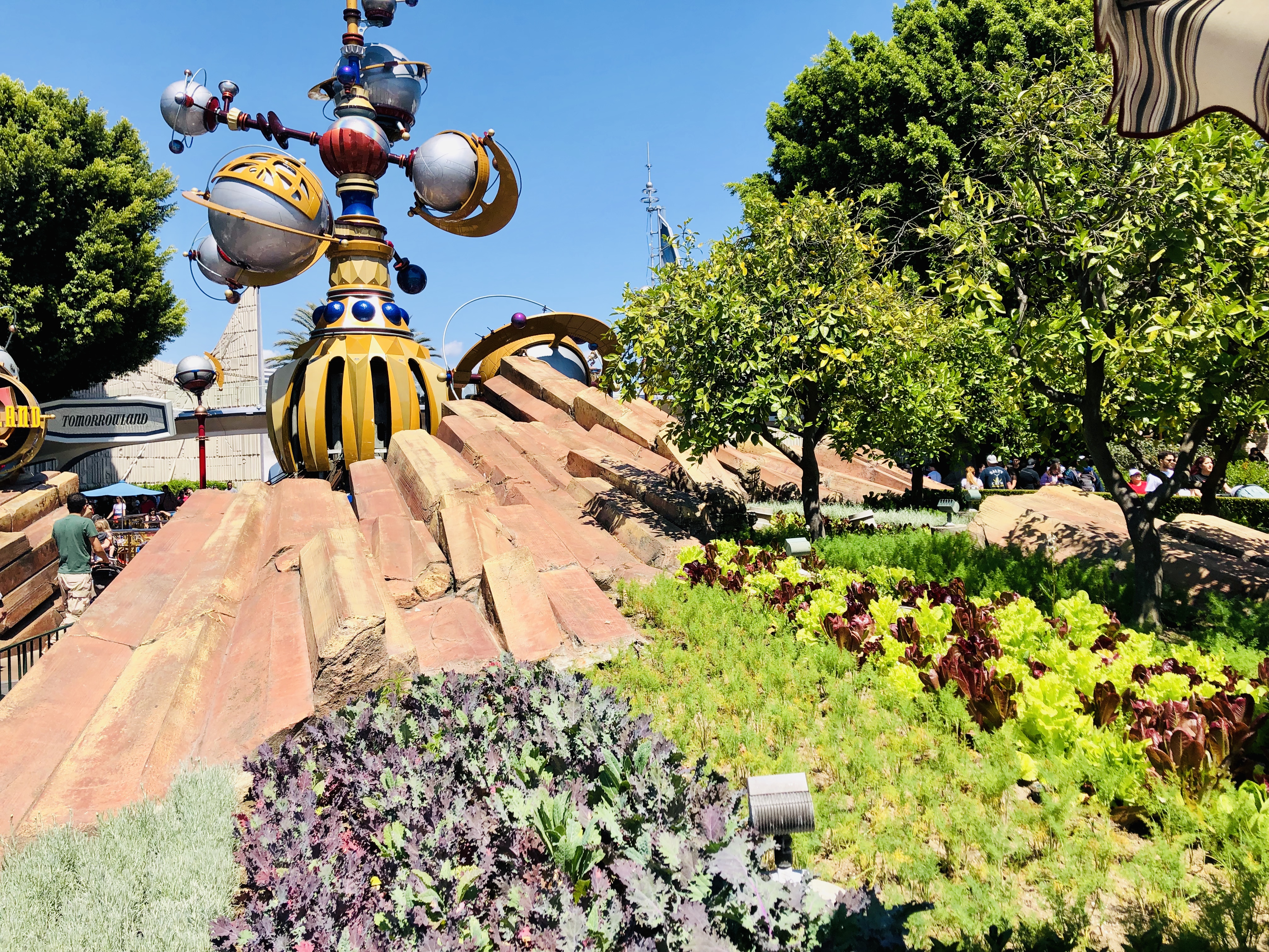 Discovering 5 Secrets of Tomorrowland; edible plants