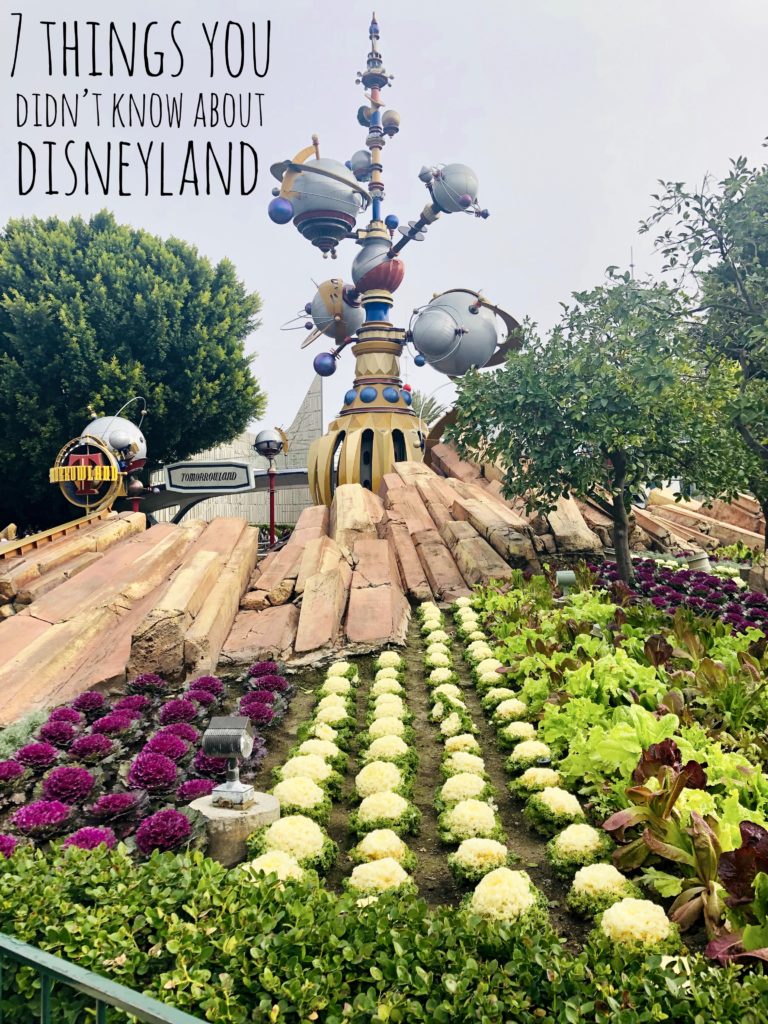 Read about 7 Things you didn't know about Disneyland