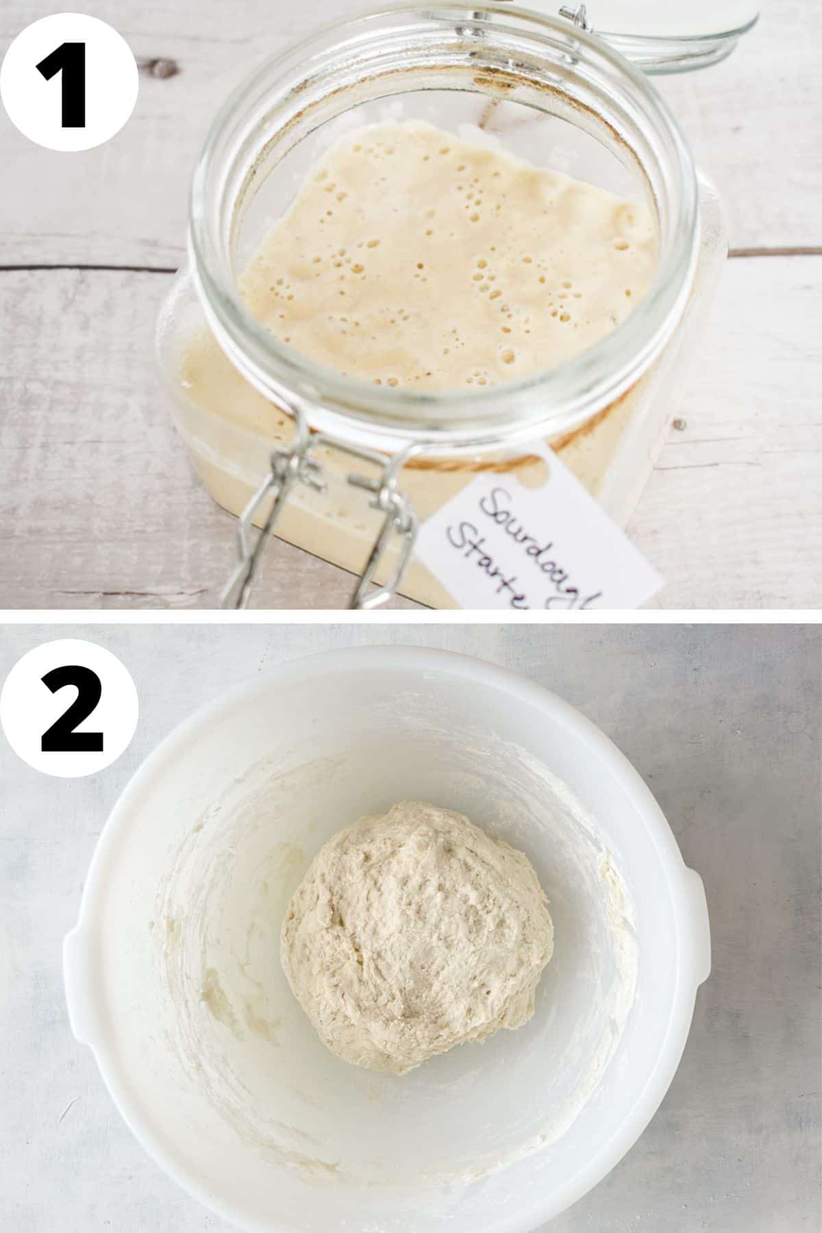two images showing sourdough starter and dough in bowl. 