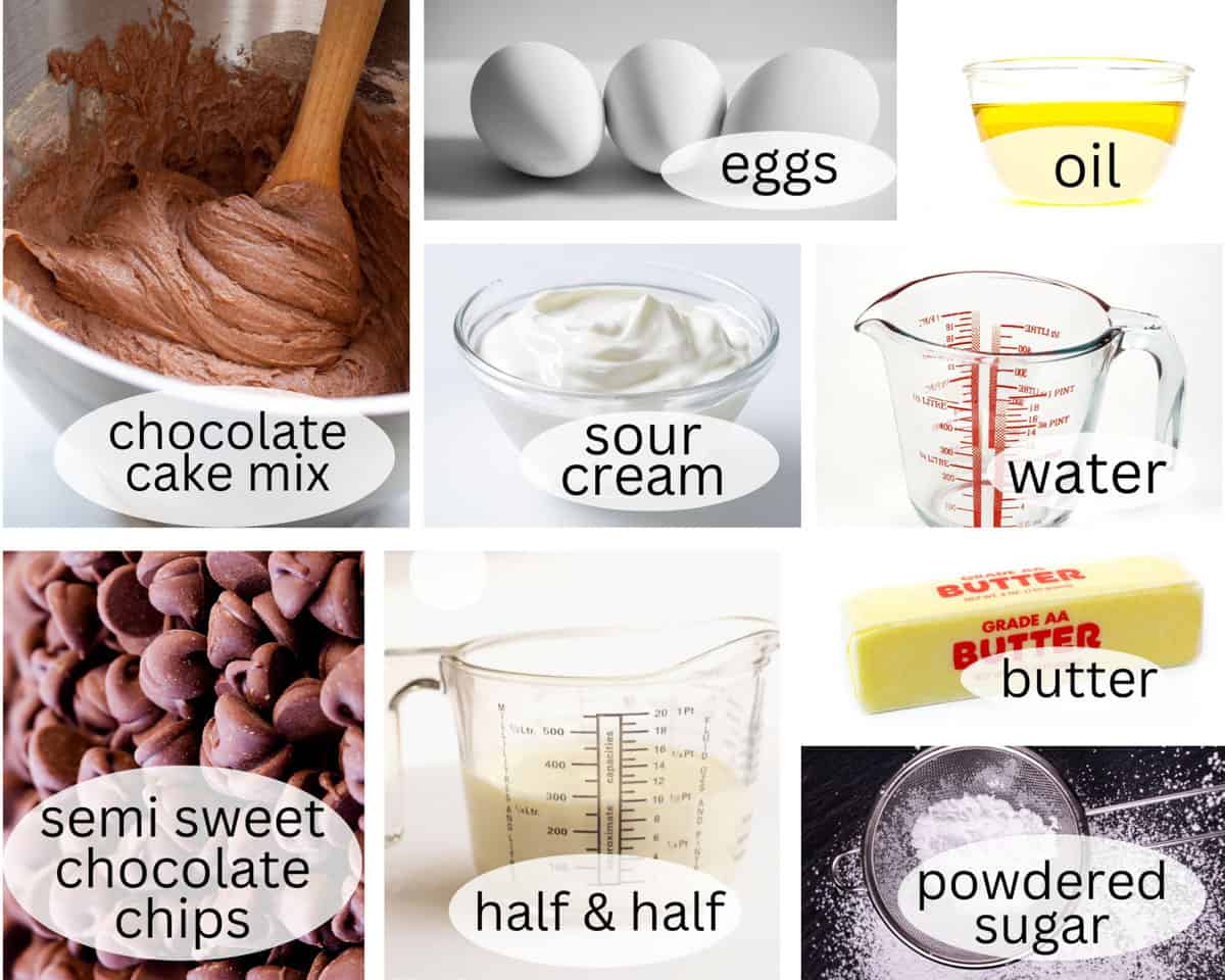 ingredients for cake recipe and chocolate frosting.