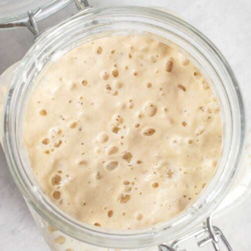 bubbly sourdough starter in jar.
