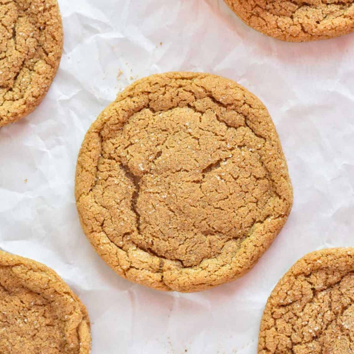 close up of molasses cookie on parchment paper.