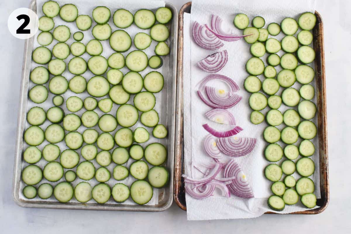 sliced cucumbers and red onions laid out on paper towels. 