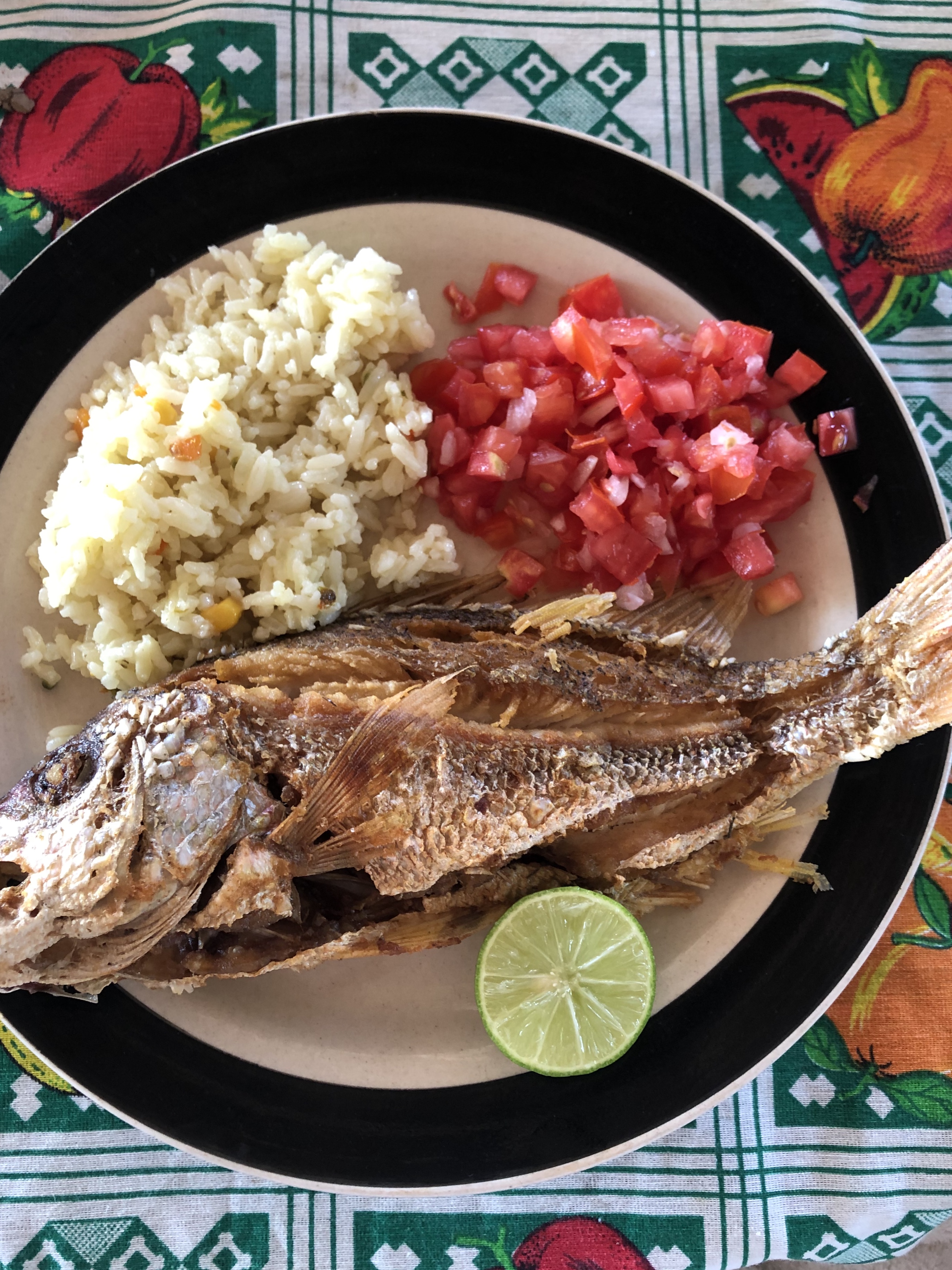 Cookout on the Estero with fried fish and Salvadoran rice