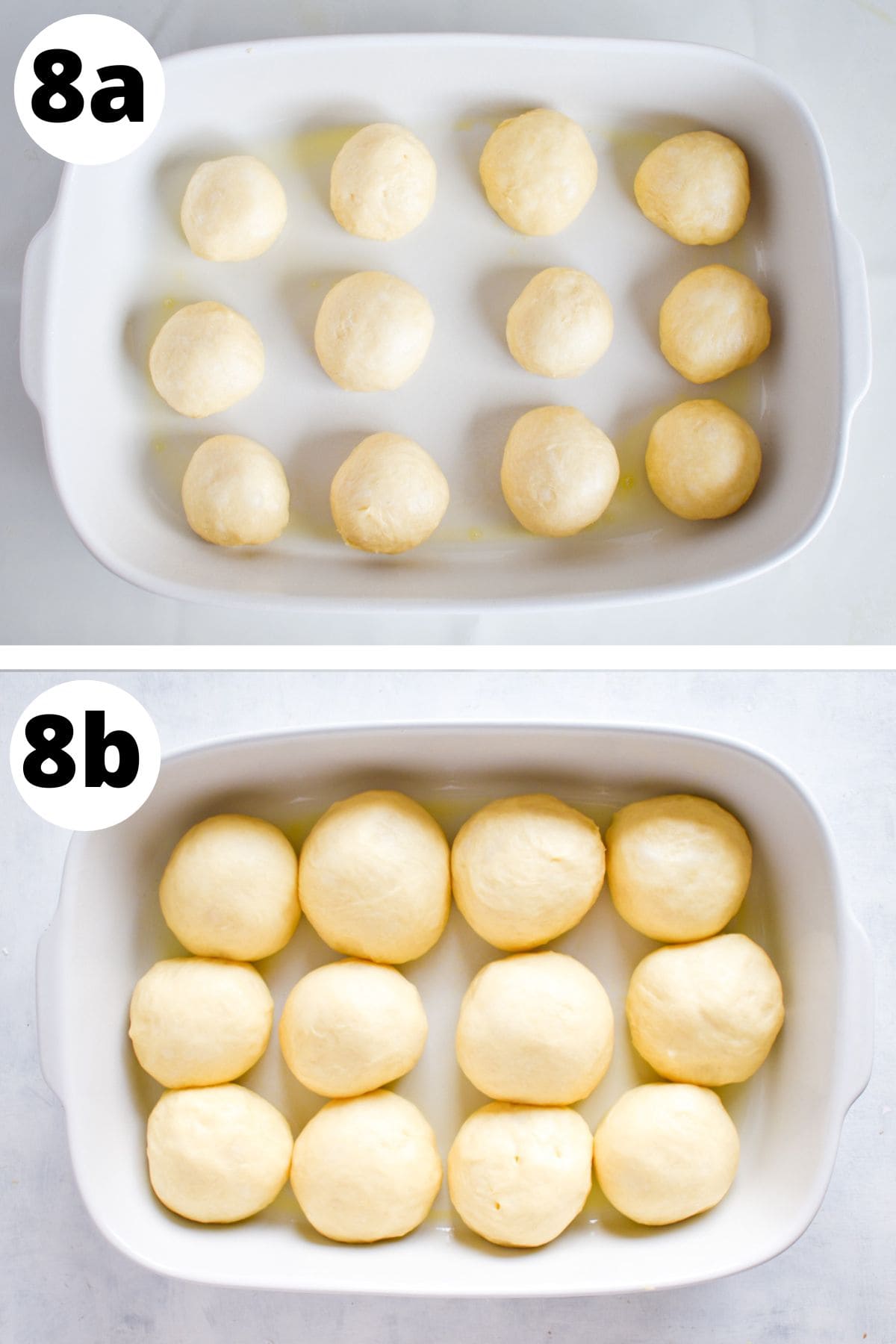 dough in balls in pans doing a second rise before baking.
