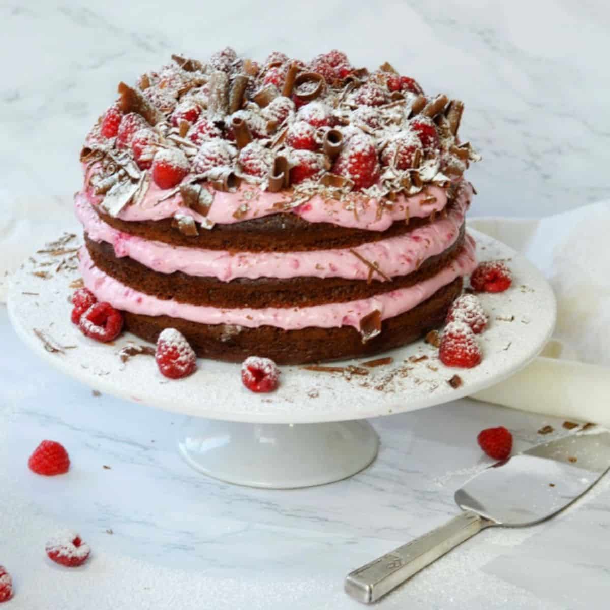 three layer chocolate cake with raspberry mousse, chocolate frosting, raspberries and chocolate curls.