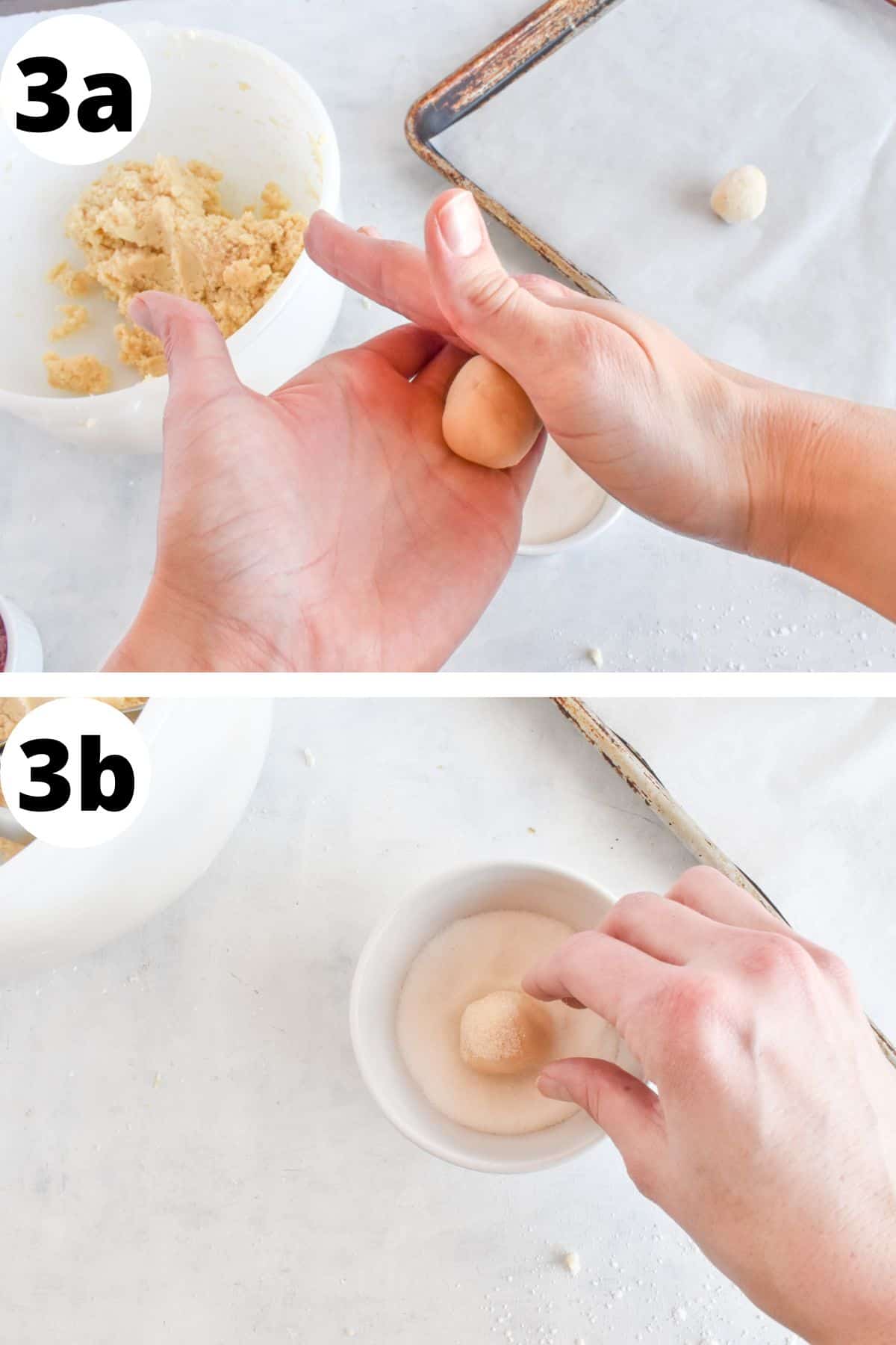two images showing how to roll cookie dough into ball and then rolling it in sugar. 