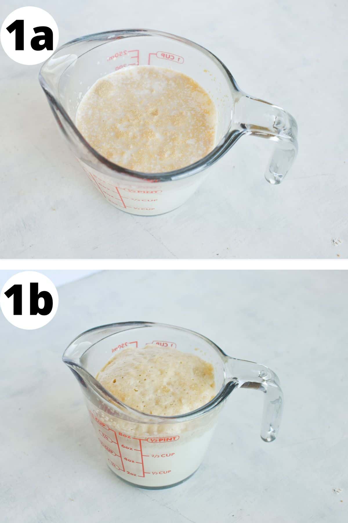 two images showing how to bloom yeast. 