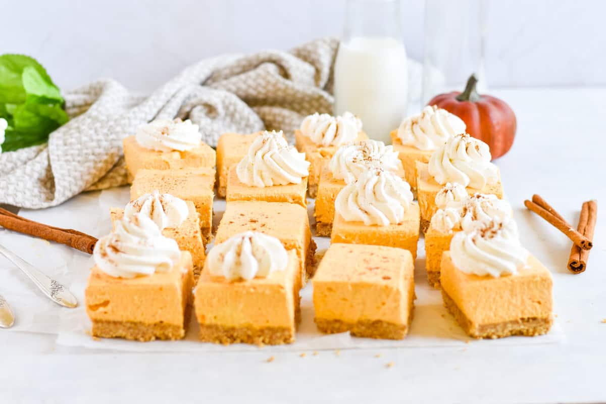 squares of pumpkin cheesecake lined up in a row. 