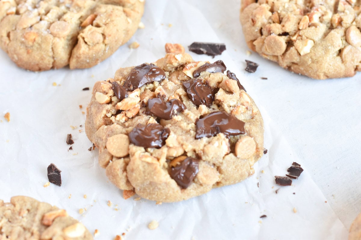 Brown butter peanut butter cookie with chocolate chips on top.