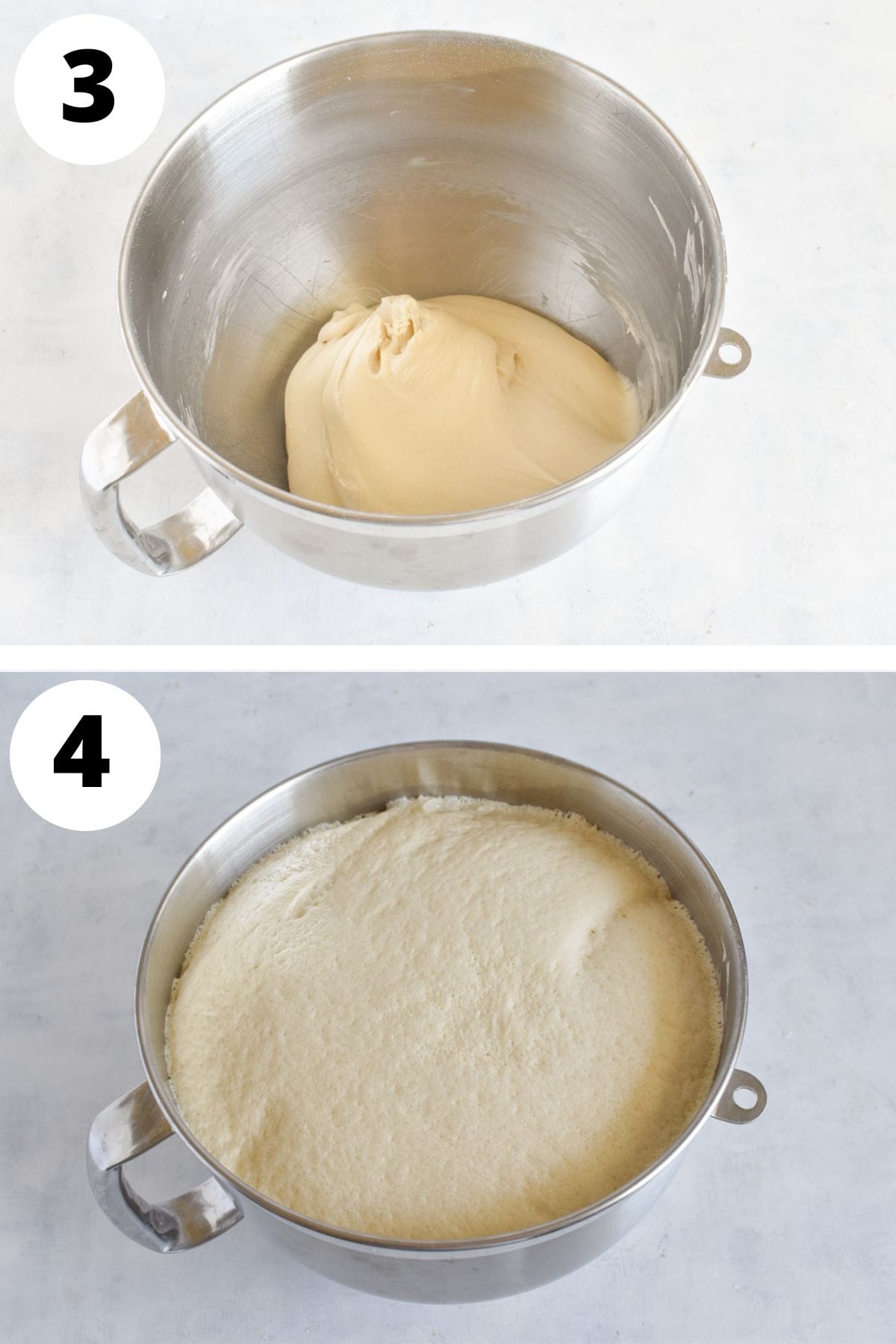 bread dough kneaded and after first rise.