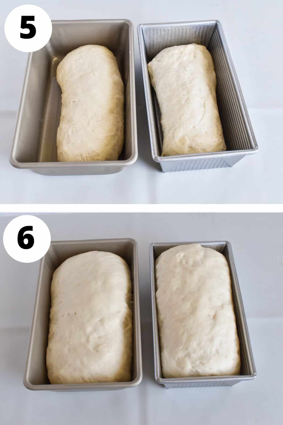 dough divided and shaped in loaf pans.